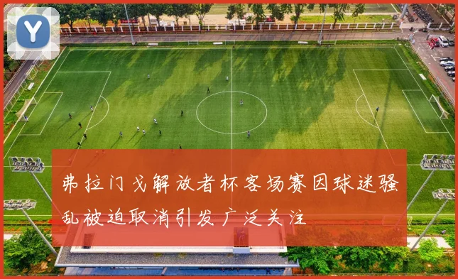 弗拉门戈解放者杯客场赛因球迷骚乱被迫取消引发广泛关注