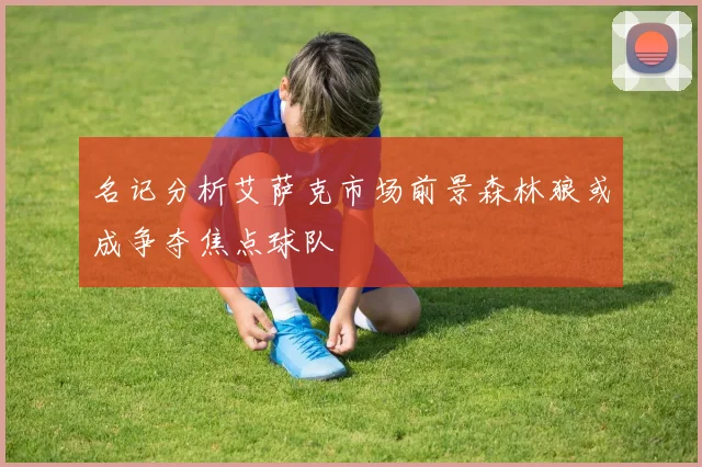 名记分析艾萨克市场前景森林狼或成争夺焦点球队